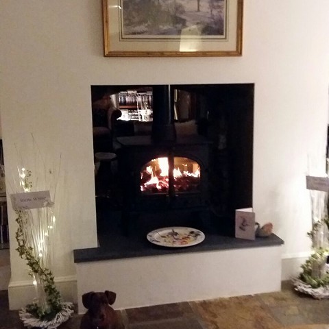 Log Burner